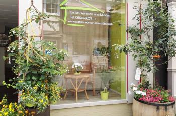 Schaufenster Caritas Wohnen Hann.-Münden